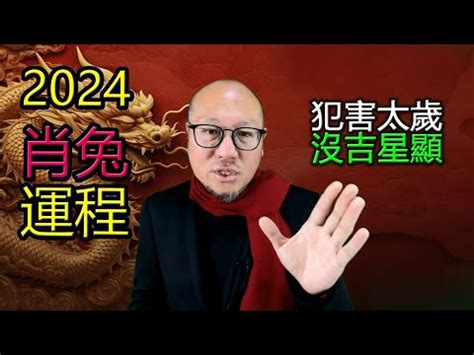 2024屬兔每月運勢|【2024屬兔運程】2024年屬兔運程全解析｜運勢大 